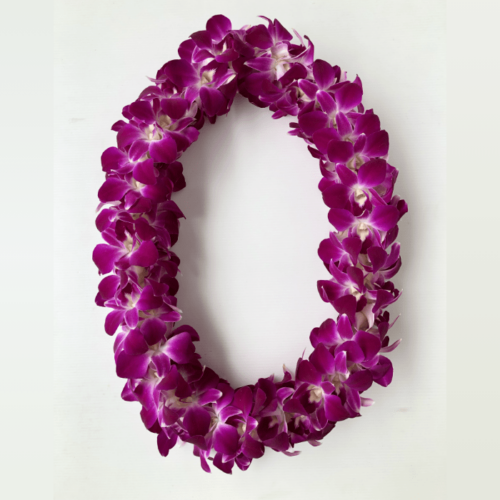 0.Cover Double Sonia Orchid Lei 1