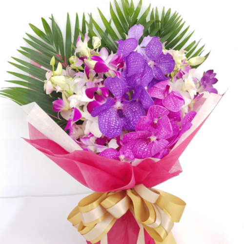 ORCHID 03 2500