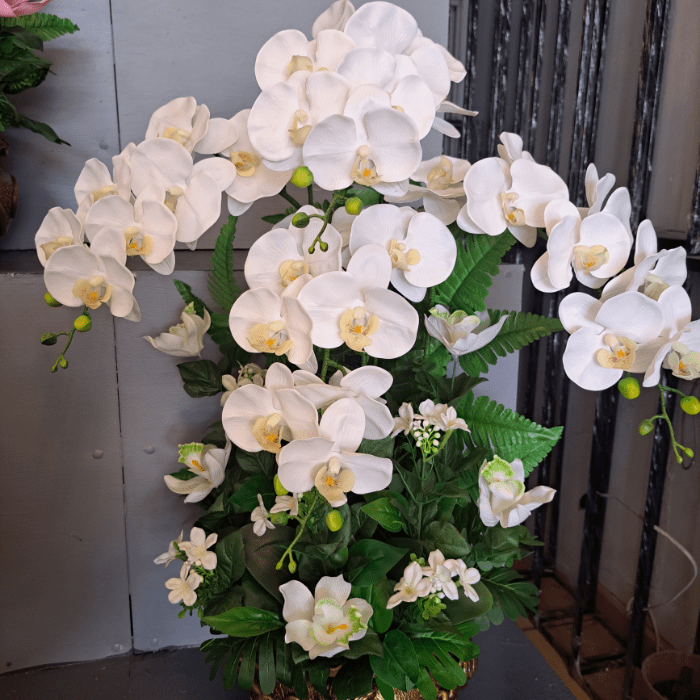 Phalaenopsis Art 01 4000