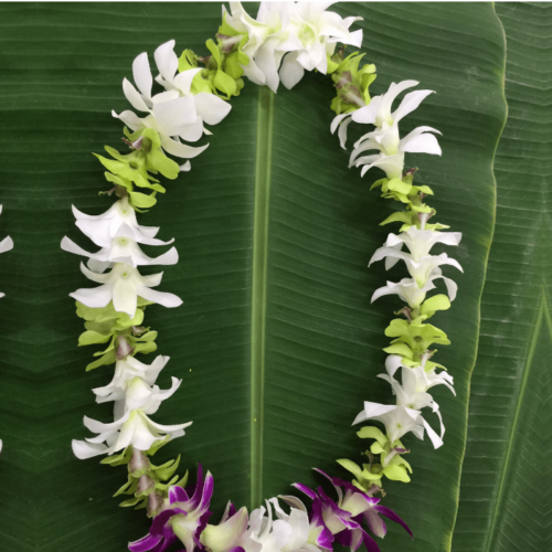 Single White green Orchid Lei