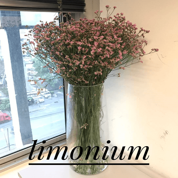 limonium