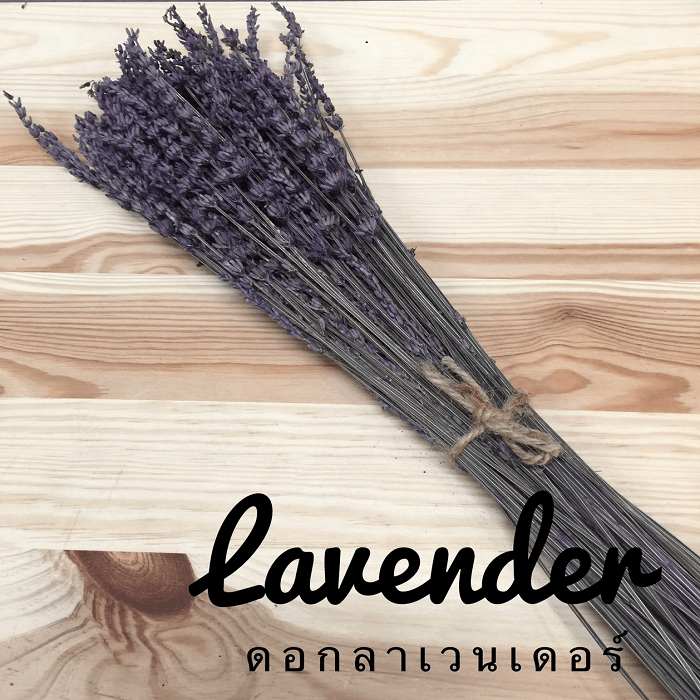 lavender